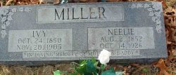 Ivy Hewlett   Miller 1850-1905